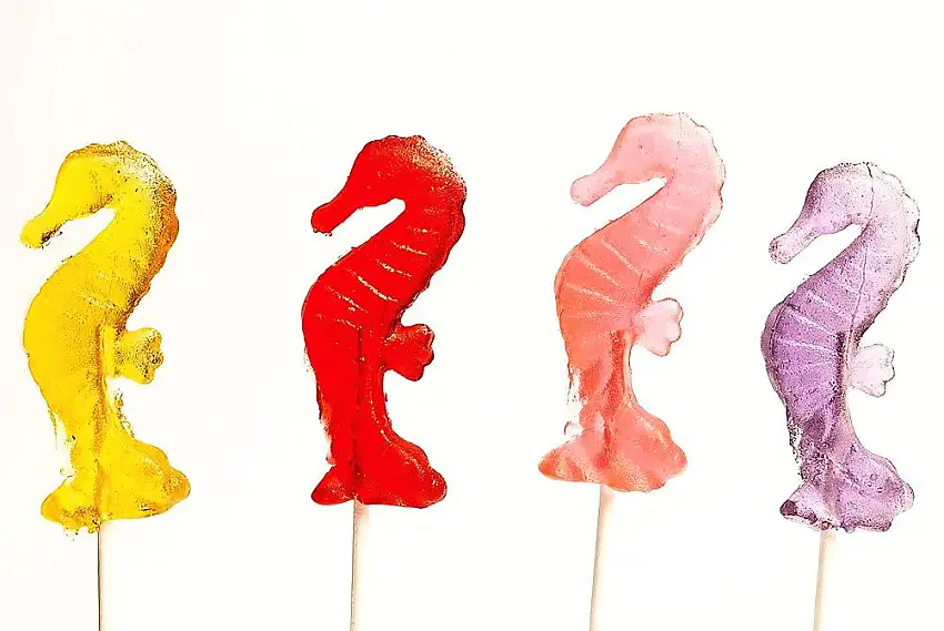 Lollipop - Seahorse