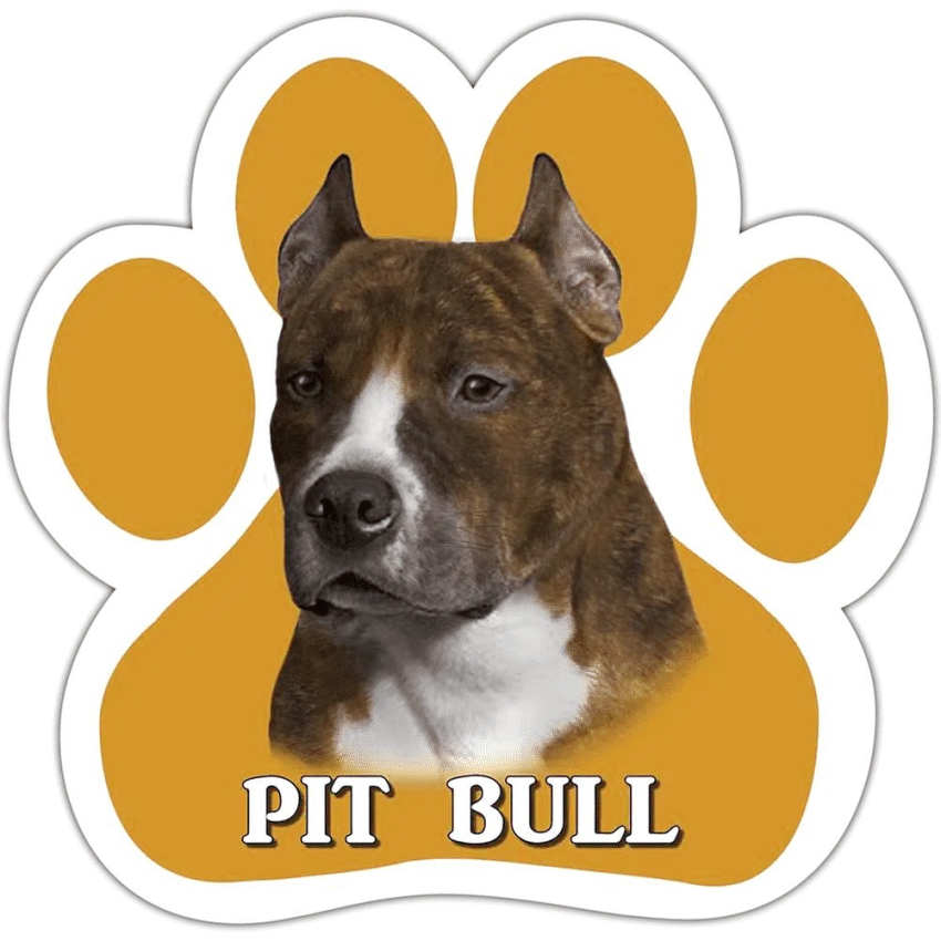 Pit Bull Magnet