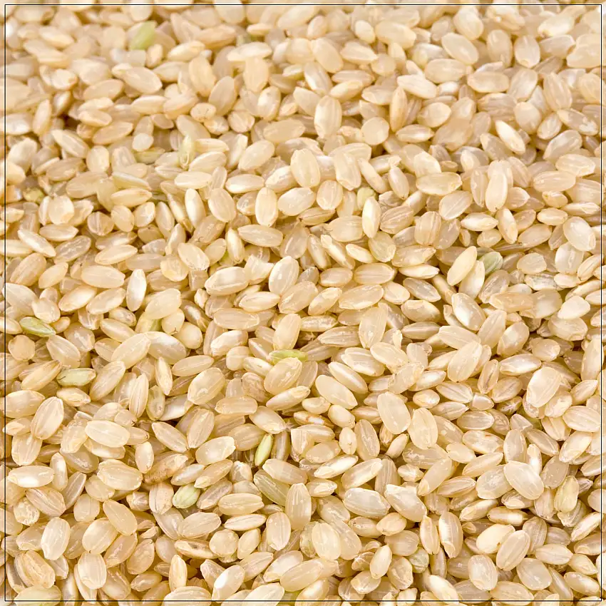 Short grain brown rice